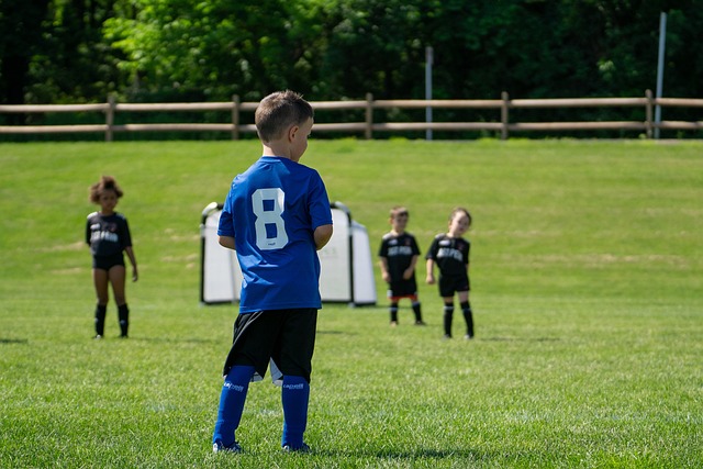 迷带来了失 迷带来了失
