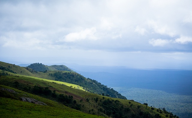 利拉德个人 利拉德个人