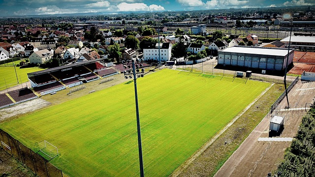 如何在这其 如何在这其