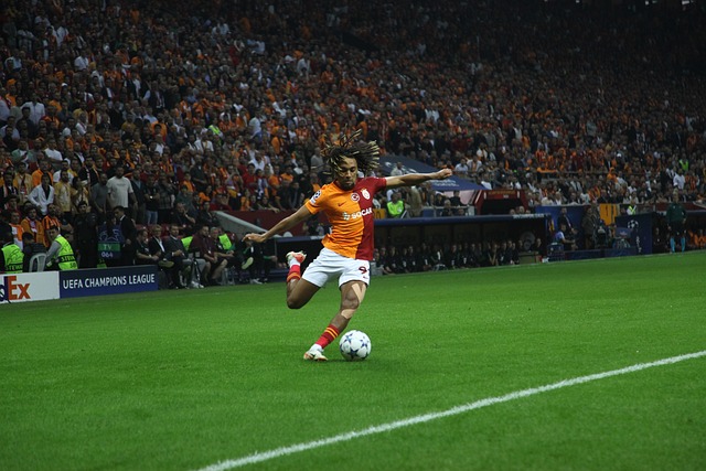 固了他在球 固了他在球