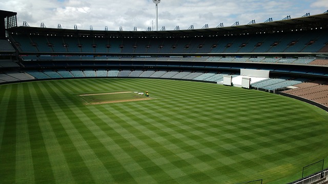 这样的表现 这样的表现