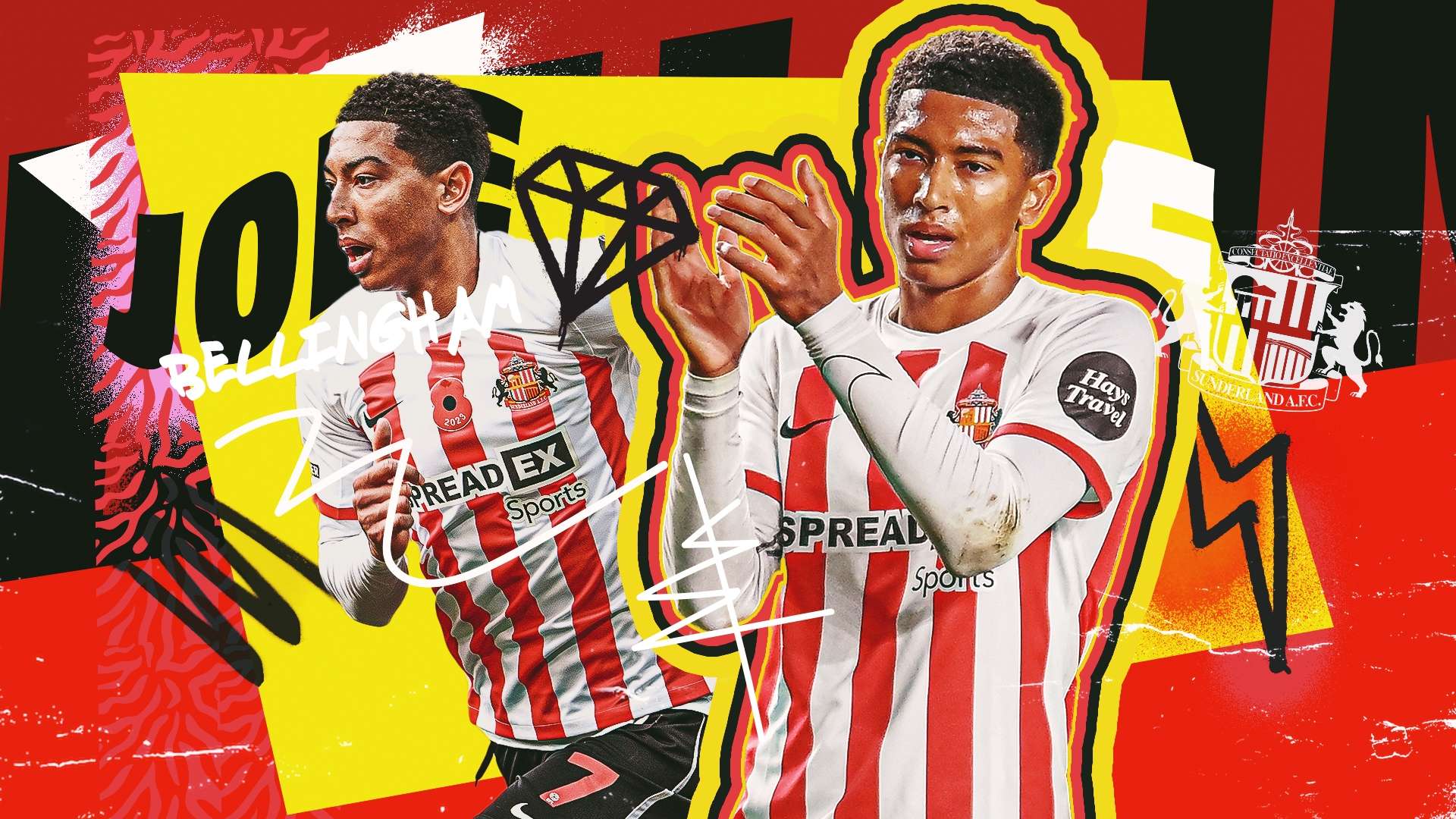 作為一名全 作為一名全