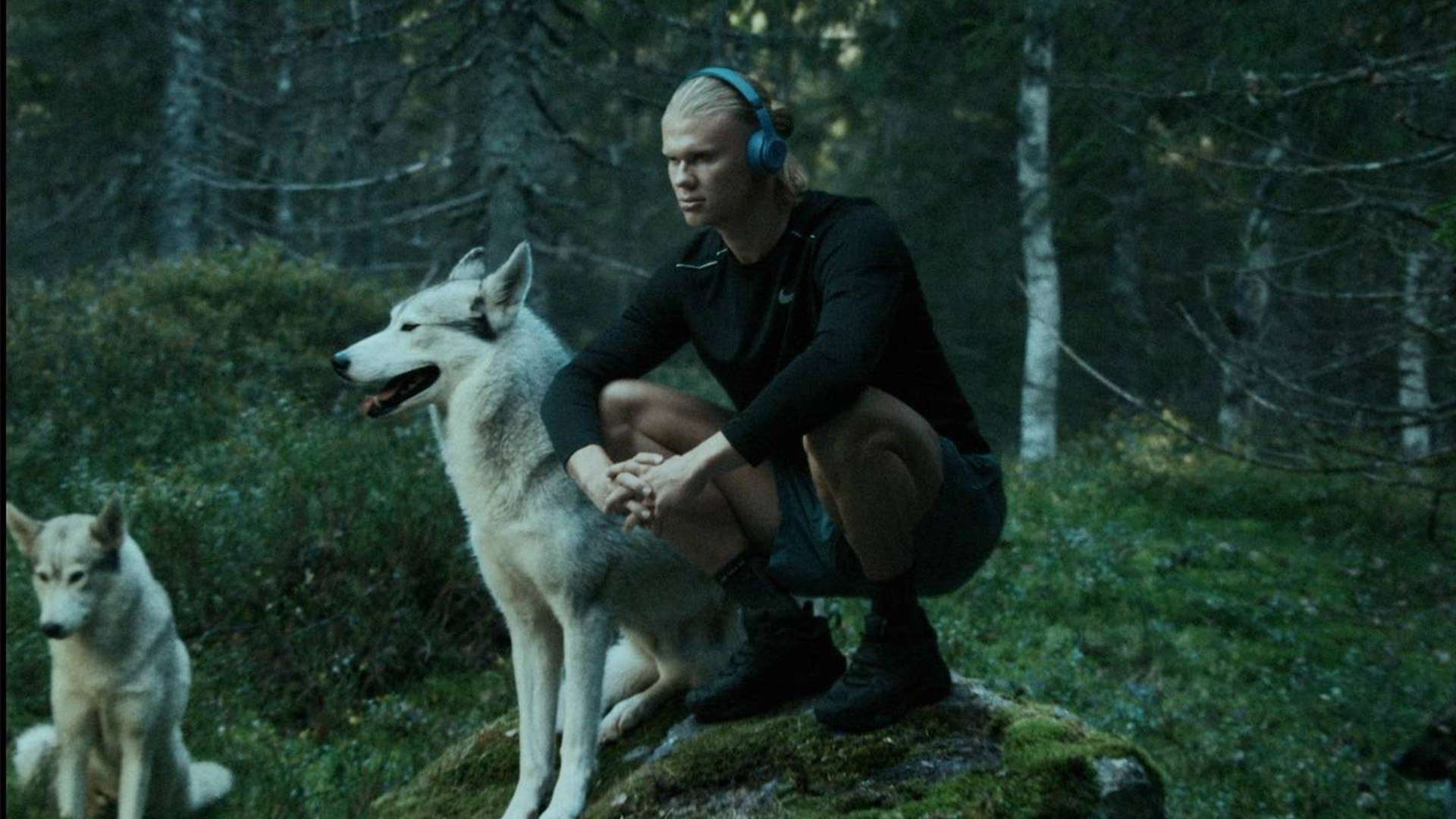 部未来发展 部未来发展