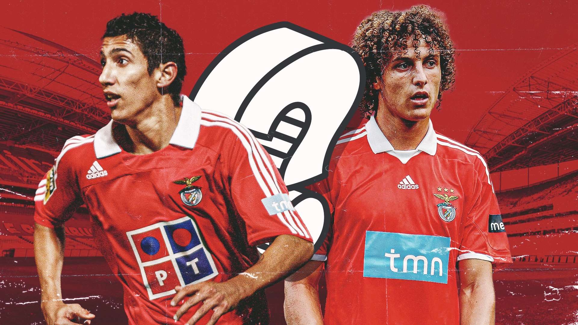 的观众期待 的观众期待